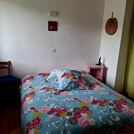 Confort A 300 M Des Thermes *